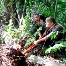 Removing weeds in Glenwood Children's Park