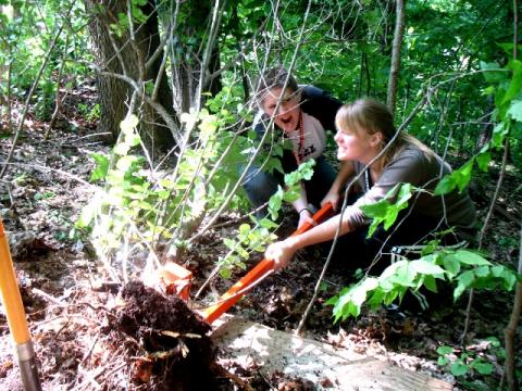 Removing weeds in Glenwood Children's Park