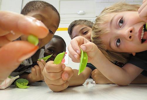 Mendota Elementary participates in REAP's Farm to School program (Photo Credit: REAP Food Group)