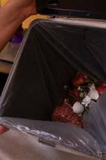 Organic waste collection