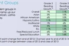 Courtesy 2013-14 MMSD Strategic Framework (click to enlarge)