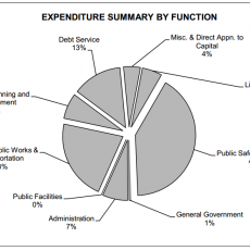 City budget chart