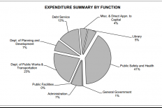 City budget chart