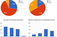 DNR Graphs