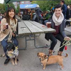 Canines at Dogtober Fest