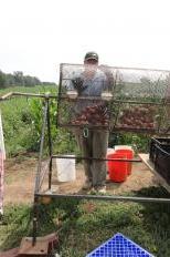 This prototype, designed by a group of UW engineering students, helps quickly clean dirt off potatoes