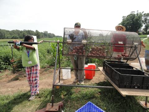 This prototype, designed by a group of UW engineering students, helps quickly clean dirt off potatoes