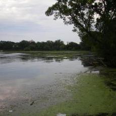 Lake Mendota