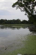 Lake Mendota