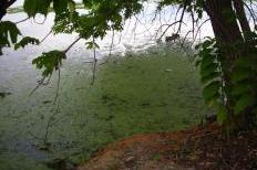 Lake Mendota in August 2012