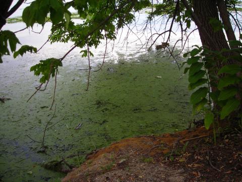 Lake Mendota, August 2012