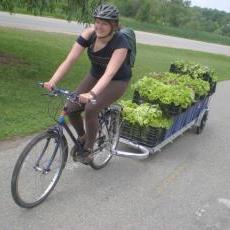 The F.H. King program transports compost and food by bicycle (Courtesy photo)