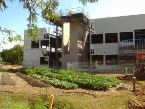 The school building: still under construction