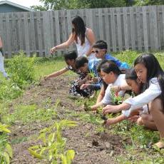 Hmong language and culture enrichment program