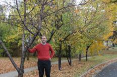 Mark Bauman hopes to save his six fruit trees.