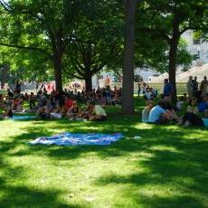 Picnic in the Sun