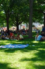 Picnic in the Sun