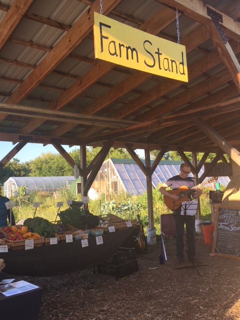 Local Madison musician plays music in the Farm Stand where fresh Troy Community Farm produce is available for purchase. (Laura Schmitt/Madison Commons)