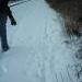 Rhonda Martin following fox tracks along the railroad in Warner Park