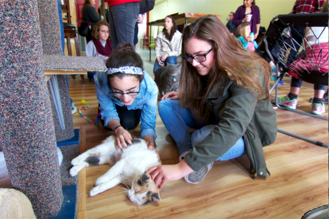 Sugar Bee relishes attention from visitors Maria Camacho and Rorie VanderPloeg. (Stephanie Jean Tsang/Madison Commons)