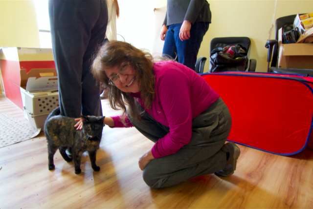 Cat Cafe Mad owner Cheryl Glover gets down to Silvie’s level. (Stephanie Jean Tsang/Madison Commons)