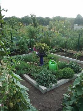 Sheboygan Ave. Community Garden faces uncertain future