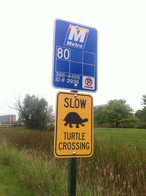 Gary Brown, director of the Lakeshore Nature Preserve, said the yellow Turtle Crossing signs will be moved to Temin Lakeshore Path later this year. (Aparna Vidyasagar/Madison Commons).