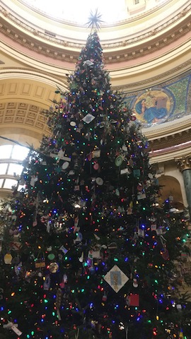 The Wisconsin State Christmas Tree in the State Capital (Lauren Faust/Madison Commons)