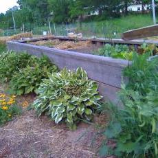 Atwood Community Gardens