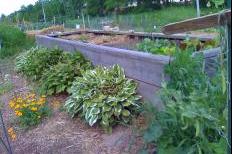 Atwood Community Gardens