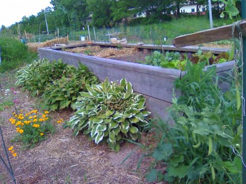 Atwood Community Gardens