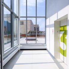 Green Roof at library