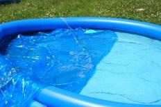 Bees in the pool, photo credit: Loni Broesch