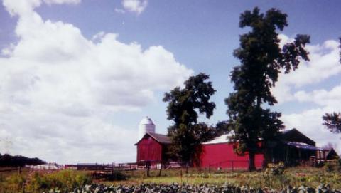 Scotch Hill Farm