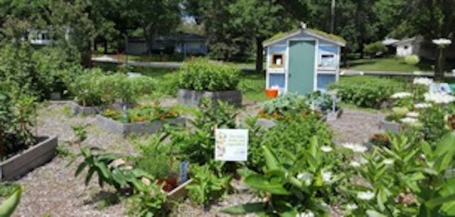 Statewide school garden organization provides resources, connects Madison schools