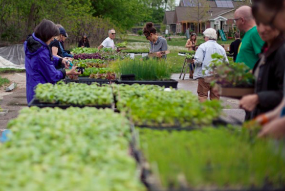 Say Hello to Springtime at Troy Farm’s Annual Plant Sale on Saturday