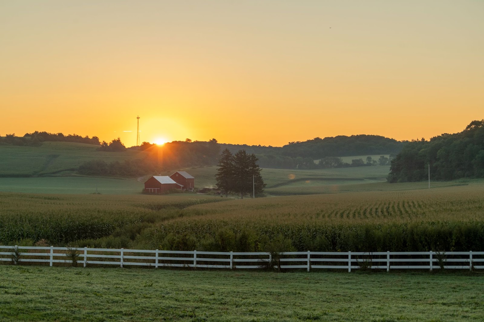 Sunset image of farm 