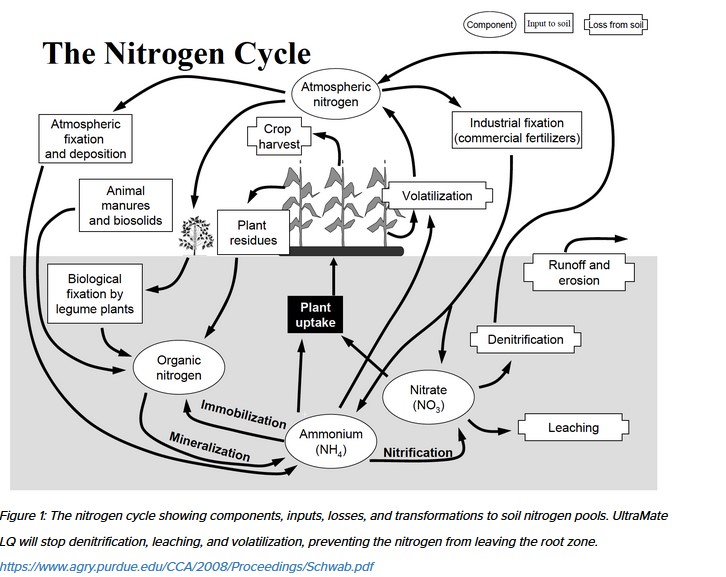 Image depicting Nitrogen Cycle
