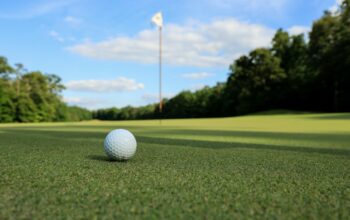 Golf ball near pin.