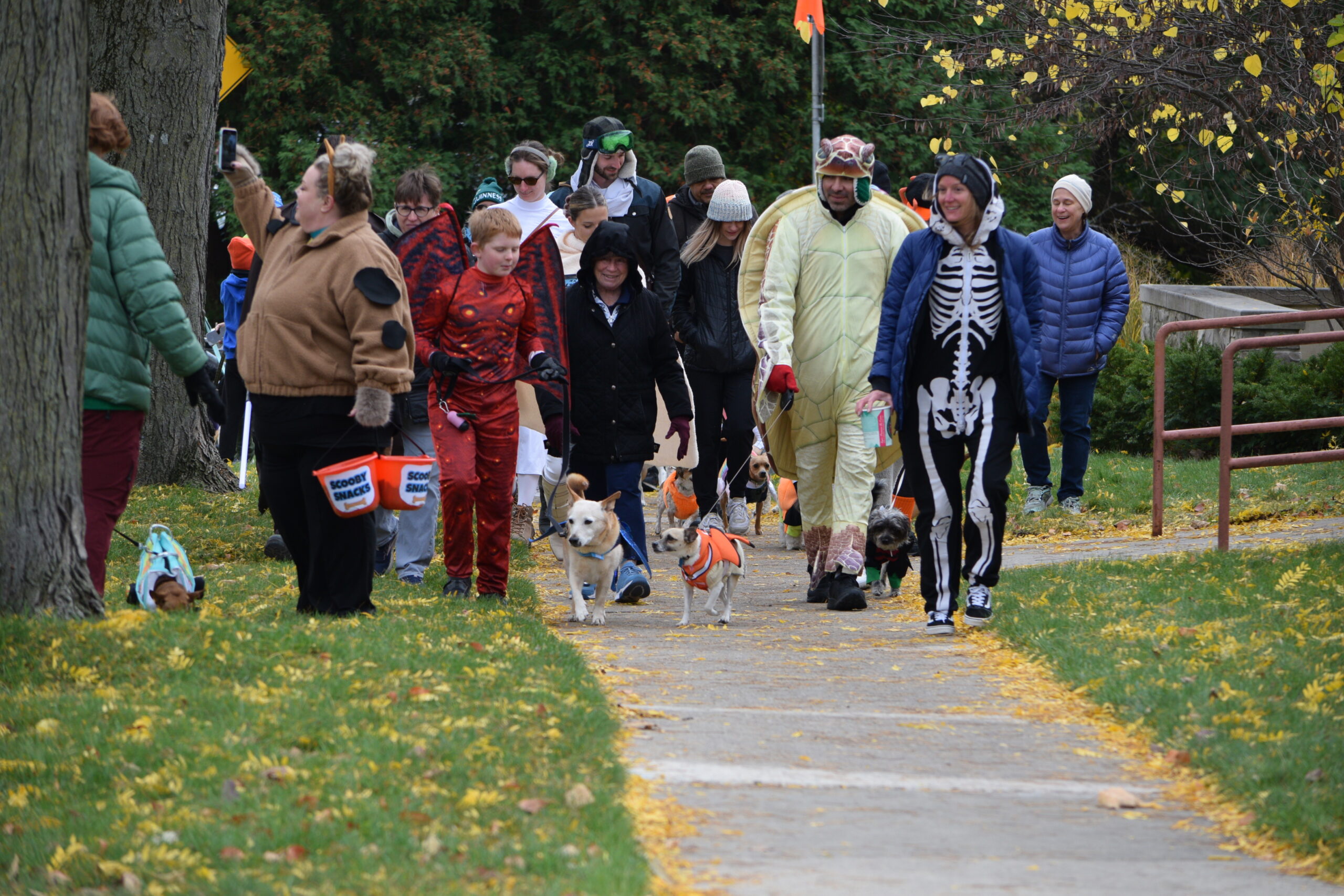 The Dane County Humane Society Dog Costume Parade returns for its fifth