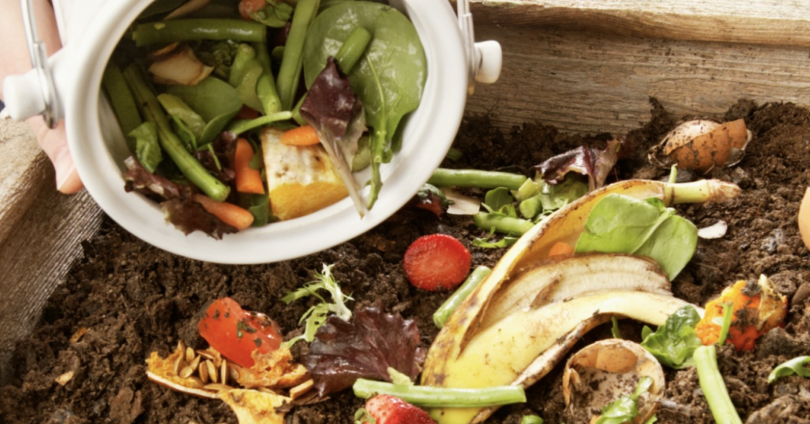 Saving scraps: Composting gains significance in the greater Madison area