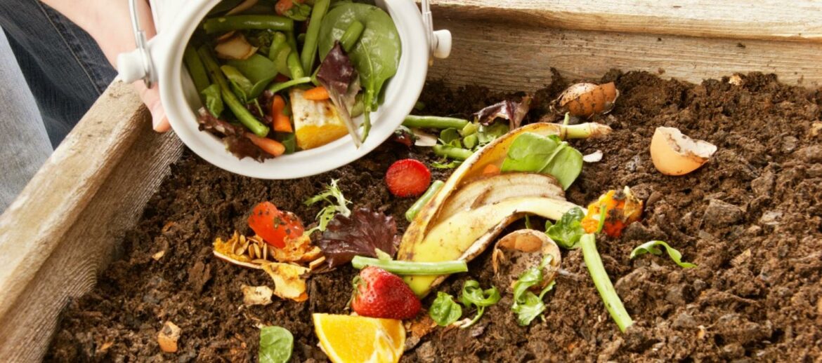 Saving scraps: Composting gains significance in the greater Madison area