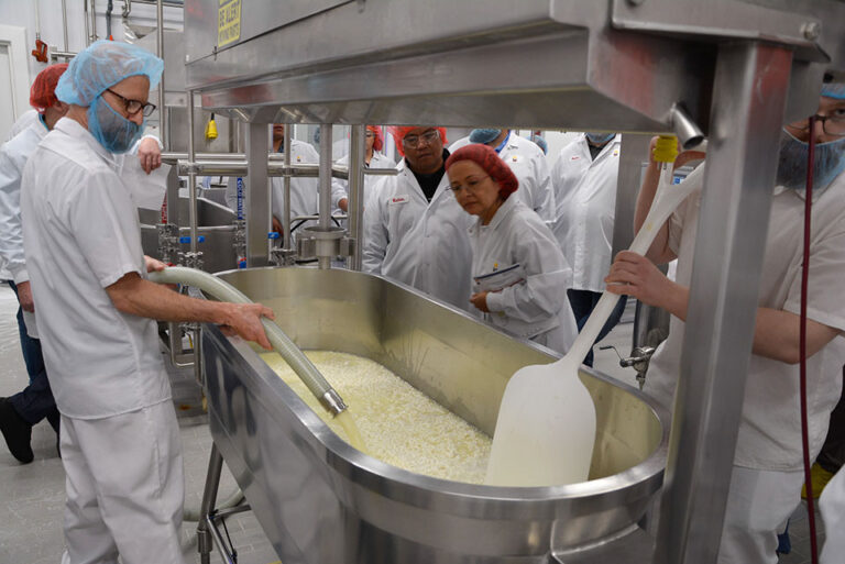 Training the people who make Wisconsin cheese unique Madison Commons