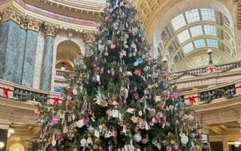 State holiday tree in the Capitol rotunda
