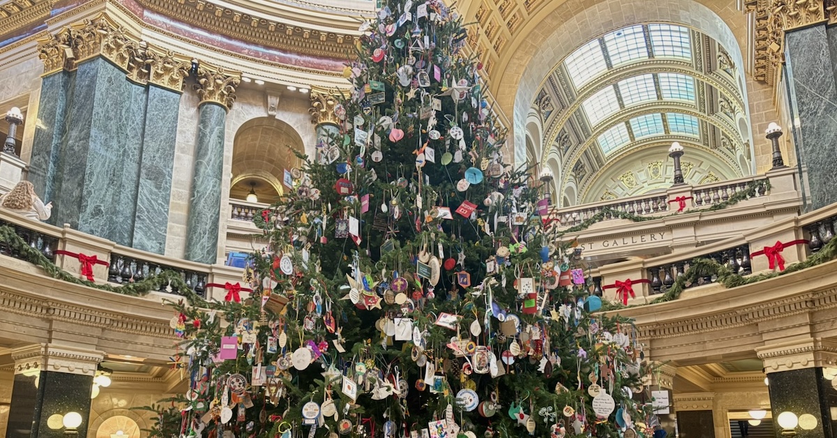 Standing tall in the rotunda: The 2025 Wisconsin State Capitol holiday tree