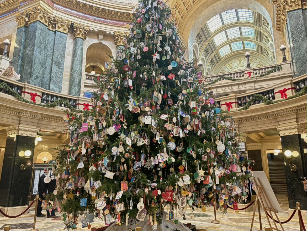 Standing tall in the rotunda: The 2025 Wisconsin State Capitol holiday tree
