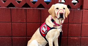 Photo by Dauntae Green.