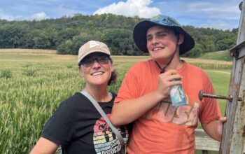 Woman and boy in a corn maze