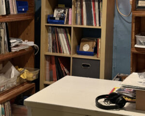 Counter and shelves at Strictly Discs