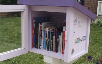 Little Free Library with books inside